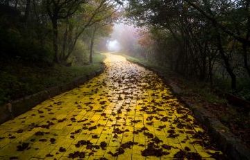 Foto: Johnny Joo