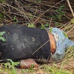 ILHÉUS: DOIS FORAM FUZILADOS EM ; 71 MORTES