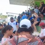 ITAGIBÁ-BA: ATAQUE DE ABELHAS EM ESTÁDIO DEIXA FERIDOS E INTERROMPE PARTIDA DE FUTEBOL
