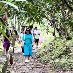 CHOCOLAT BAHIA 2024: JORNALISTAS BRASILEIROS E INTERNACIONAIS VISITAM ITACARÉ