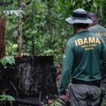 CONCURSOS DO IBAMA E ICMBio VÃO OFERTAR 810 VAGAS