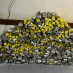 CERCA DE  300 KG DE MACONHA SÃO ENCONTRADOS EM MATAGAL NO EXTREMO SUL DA BAHIA