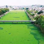 SOB ORDEM JUDICIAL, PREFEITURA DE ITABUNA AUTORIZA REMOÇÃO DE BARONESAS