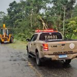 CHUVAS DERUBAM ÁRVORE E INTERDITAM RODOVIA ENTRE ITAGÍ E BR-330; VIA É LIBERADA APÓS AÇÃO DA PRE