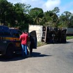CAMINHÃO CARREGADO DE CARNE TOMBA NO TREVO DE UBATÃ, NA BR-101
