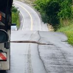 AURELINO LEAL: MOTORISTA PARAM TRÃNSITO NA BR-101 PARA PERMITIR TRAVESSIA DE JIBÓIA EM SEGURANÇA