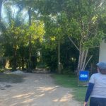 MARAÚ: DESOCUPAÇÃO DE LOTEAMENTO CLANDESTINO NA PRÁIA DE  TAIPÚS DE FORA É INICIADA APÓS ACATAR PEDIDOS DO MP-BA