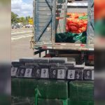 MOTORISTA É PRESO SUSPEITO DE TRANSPORTAR MEIA TONELADA DE COCAÍNA ENTRE CARGA DE CEBOLAS