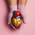 CORAÇÃO EM XEQUE: DOENÇAS CARDIOVASCULARES MATAM 400 MIL BRASILEIROS POR ANO E ATINGEM 20,5 MILHÕES DE PESSOAS NO MUNDO
