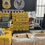 POLÍCIA APREENDE MAIS DE  200 KG MACONHA EM FEIRA DE SANTANA