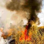 UBATÃ: IDOSO MORRE QUEIMADO APÓS FOGO SE ESPALHAR EM ÁREA RURAL