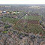 FICCO/ILHÉUS DEFLAGRA OPERAÇÃO CONTRA O TRÁFICO DE DROGAS, COMÉRCIO ILEGAL DE ARMAS E LAVAGEM DE DINHEIRO