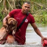 PITBULLS ILHADOS EM LAGOA POR CERCA DE  24 HORAS SÃO RESGATADOS EM EUNÁPOLIS