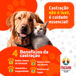 ITACARÉ: CASTRAÇÃO NÃO É LUXO, É CUIDADO ESSENCIAL!